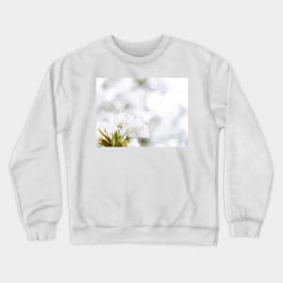 White cherry blossoms Crewneck Sweatshirt